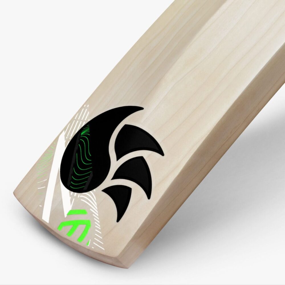 DSC Blak 222 English Willow Cricket Bat - Image 4