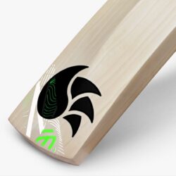 DSC Blak 222 English Willow Cricket Bat - Image 4