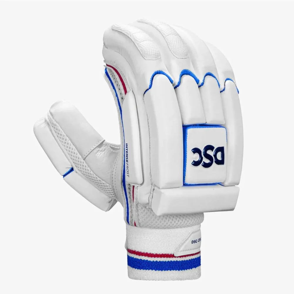 DSC Intense Frost Batting Gloves Men